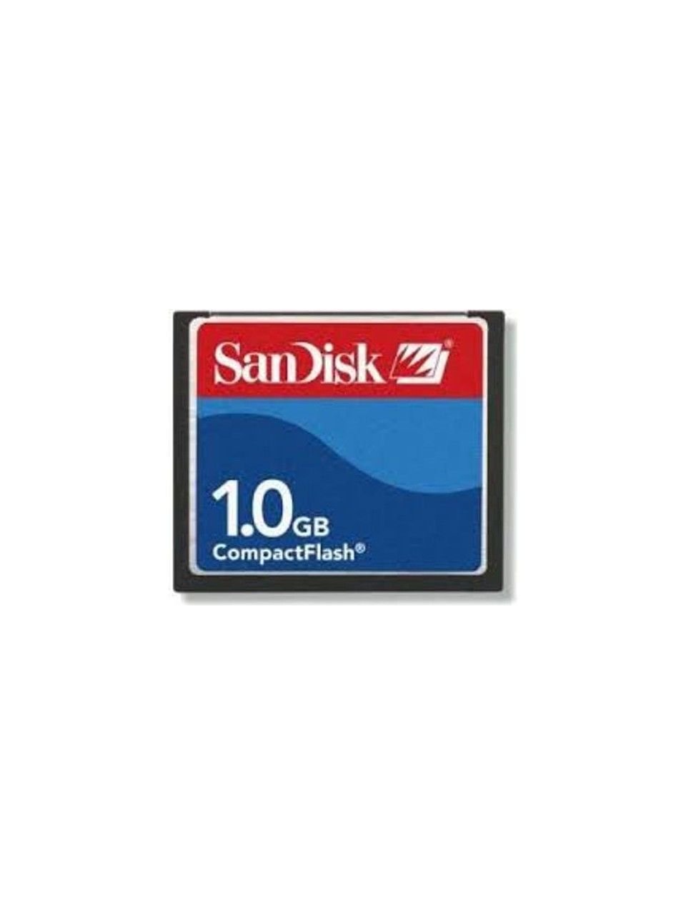 SanDisk 1GB CF Kart